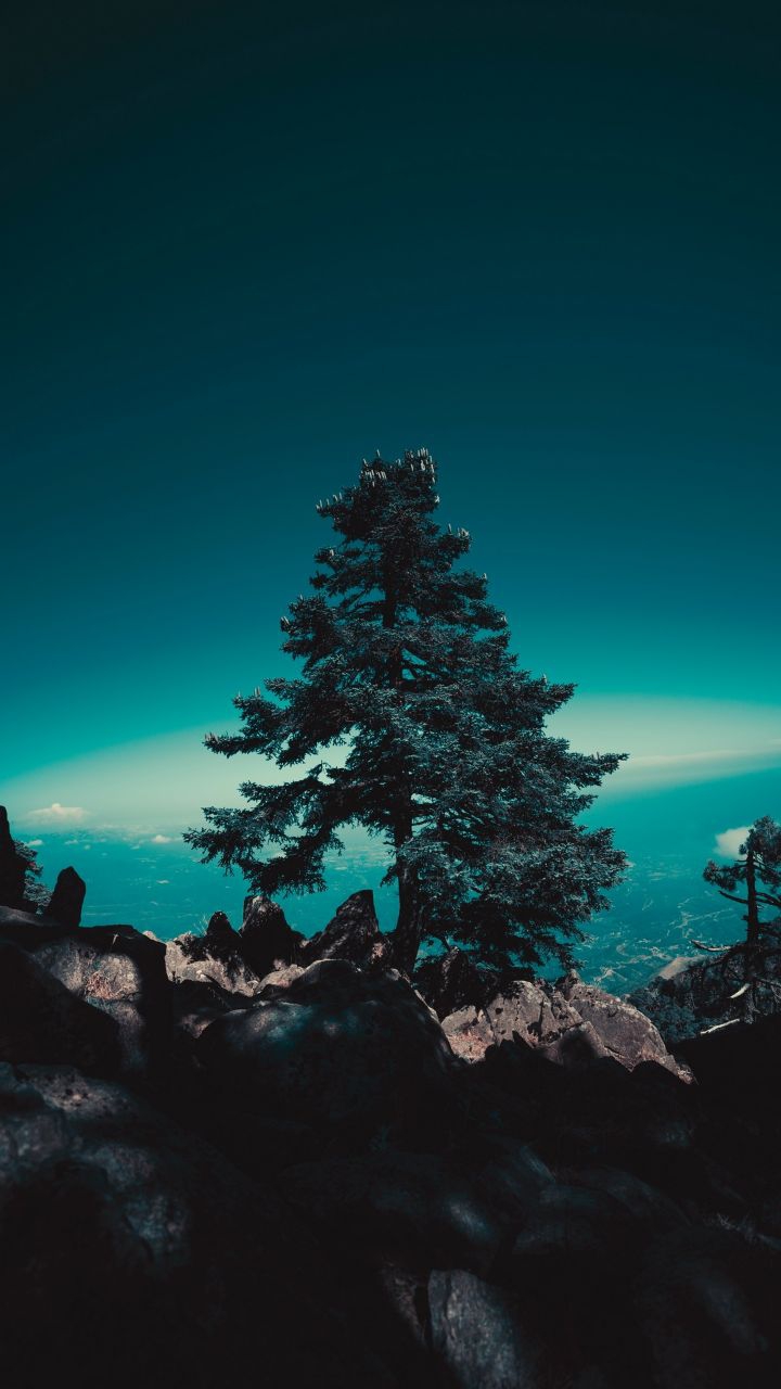 nature