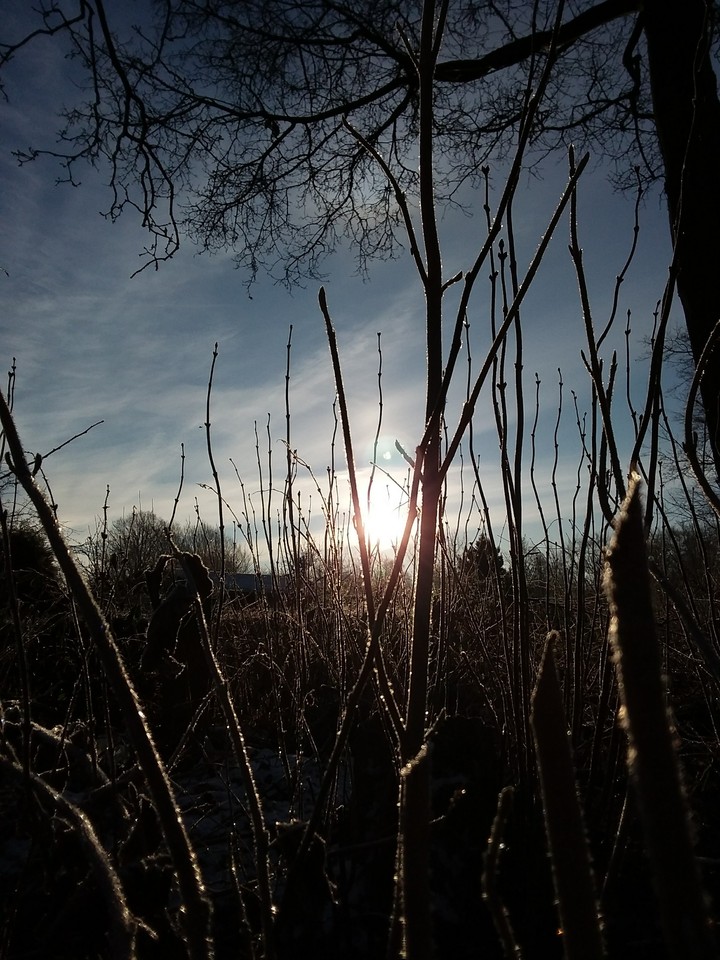 Sonnenaufgang
