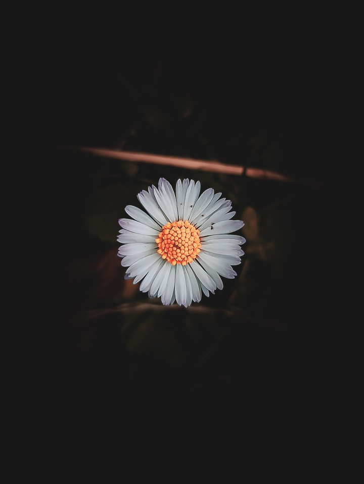 Pretty