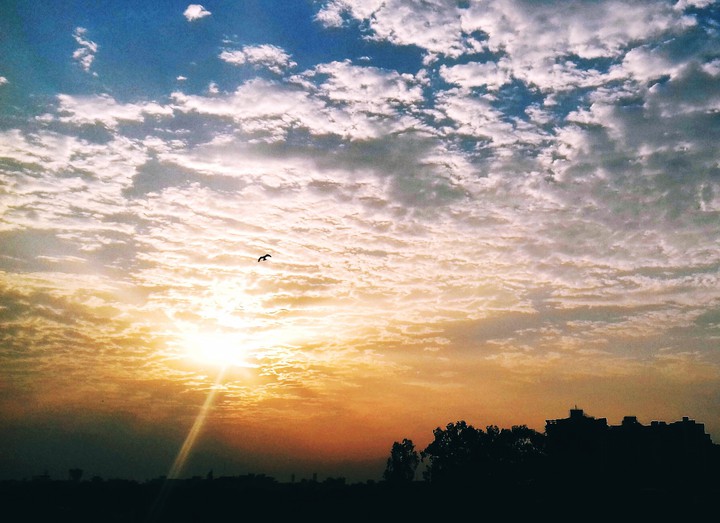 dil se shot