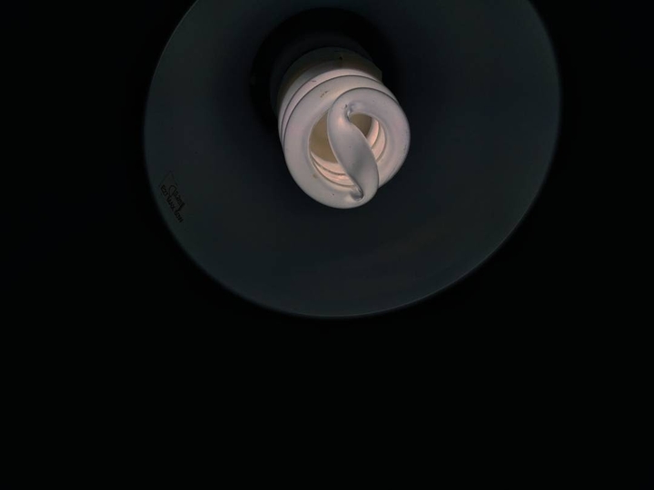blue bulb