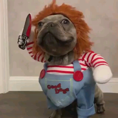 I'm going to kill you