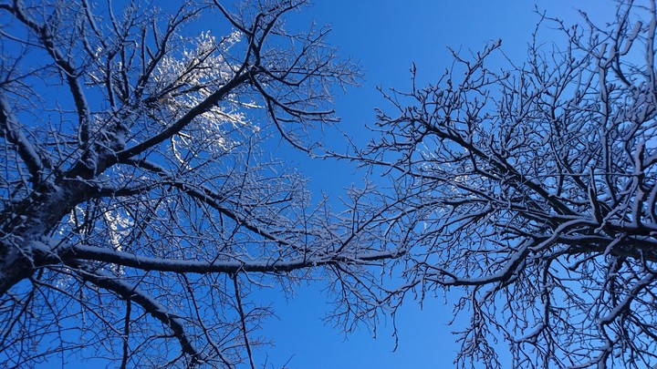 Finnish winter