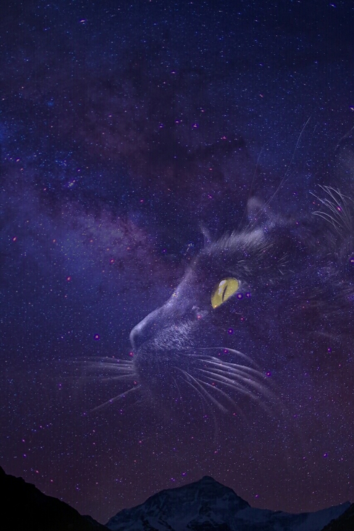 galaxy