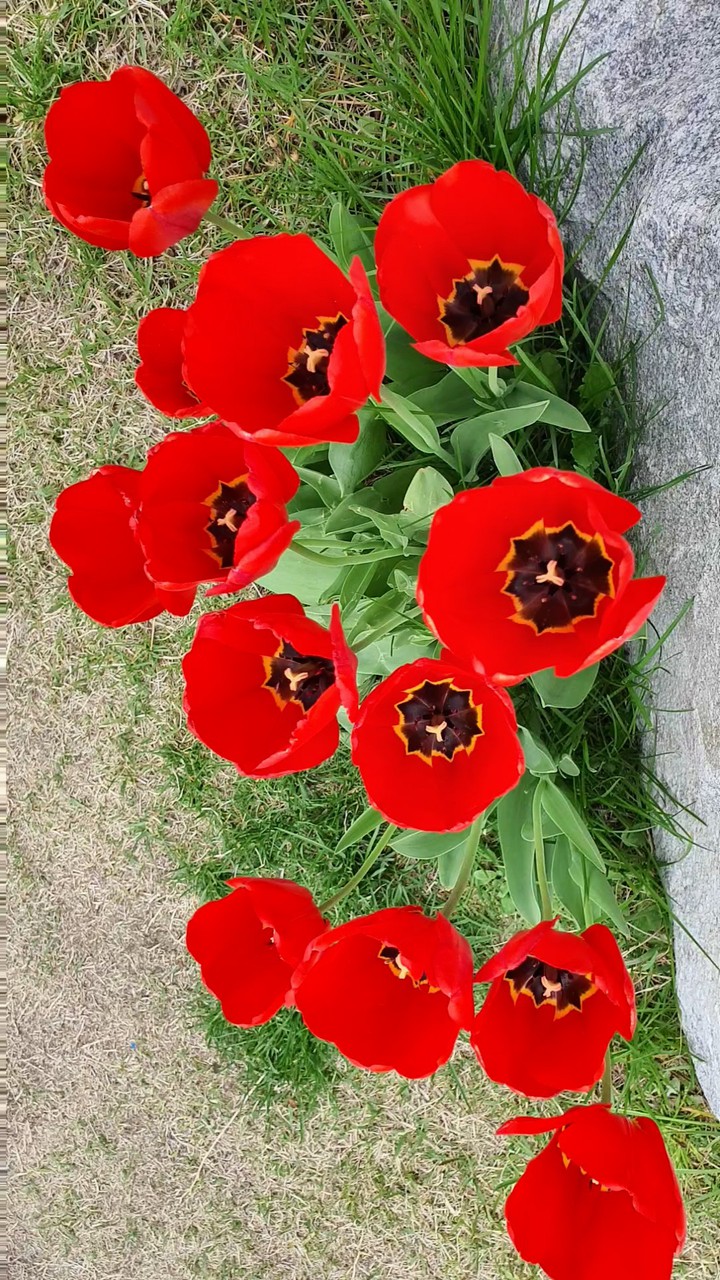 절정