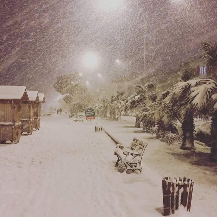 samsun city