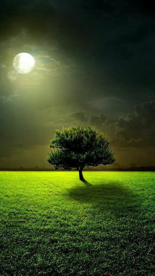 Solitary