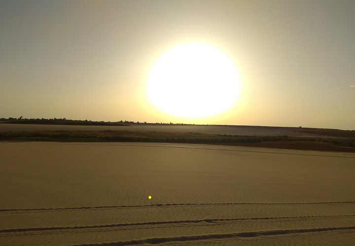 Desert