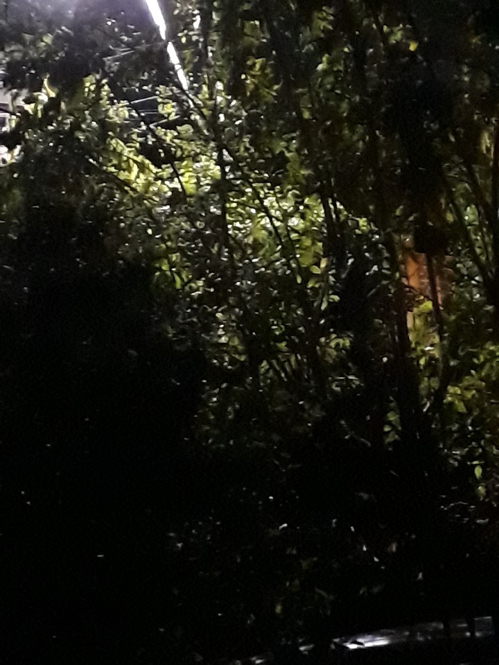 light and shade