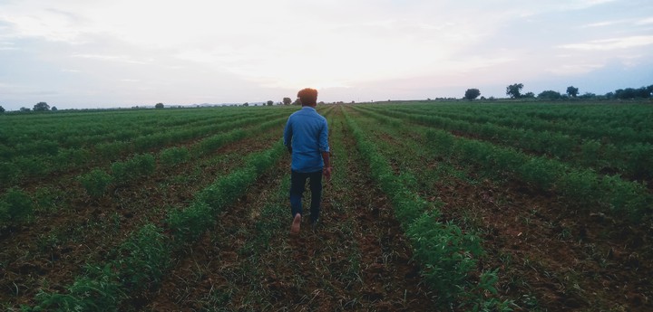 Farmer