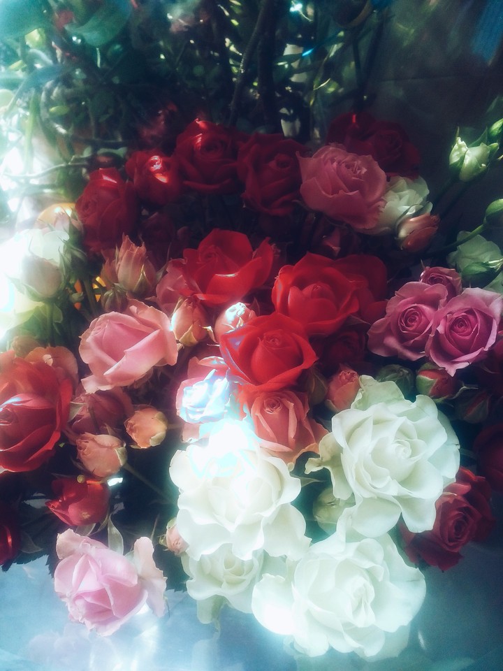 roses