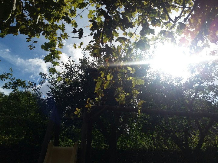 Augustsonne
