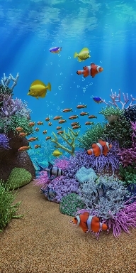 aquarium