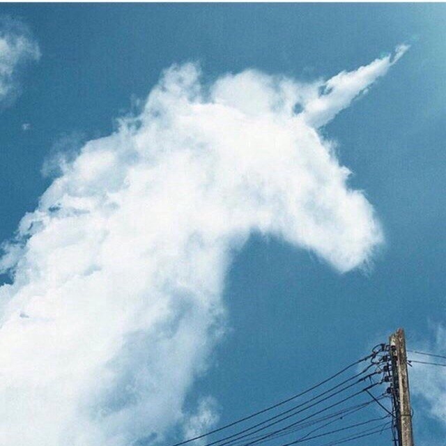 Единорог