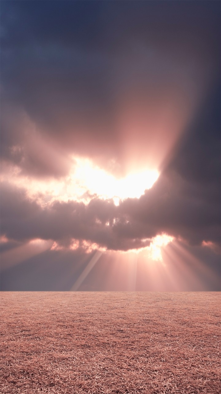 Evening sun