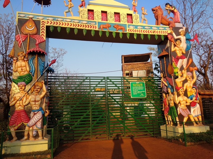 Rajnandgav jangal safari