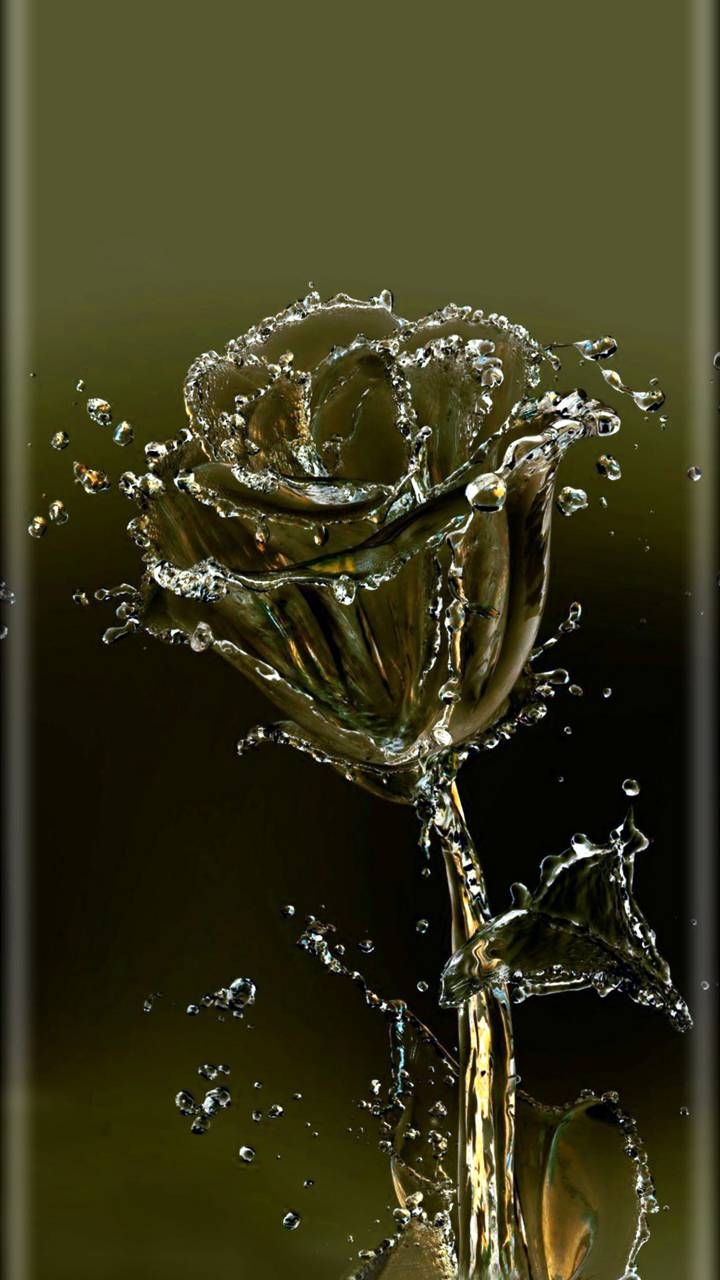 For my friends rose with water . love you
