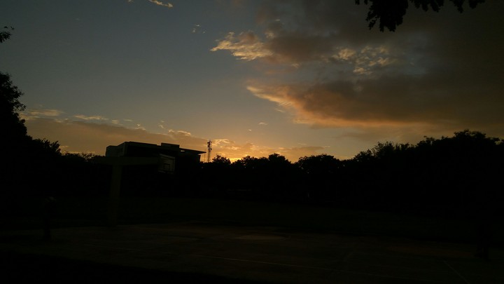 Sun behind the trees