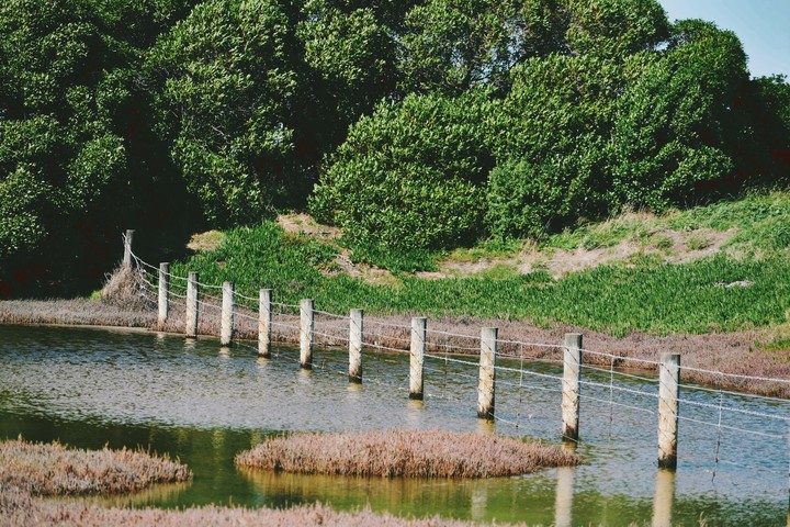 Lagoon