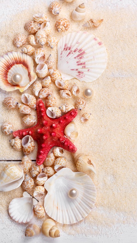 خلفيات Shell, Precious