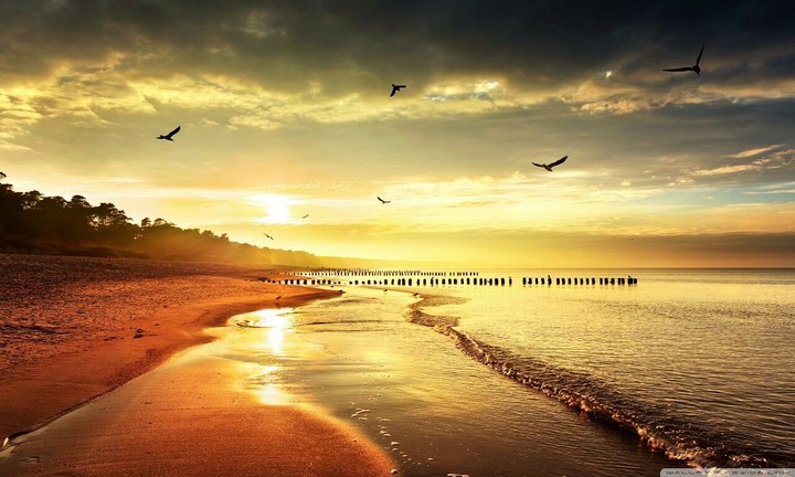 Sunset