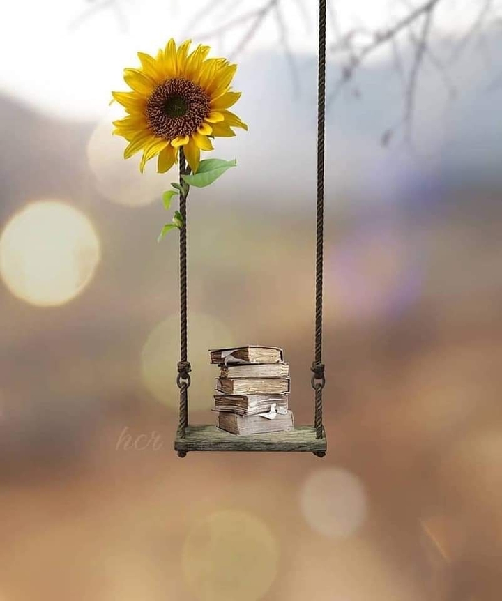 tiny world