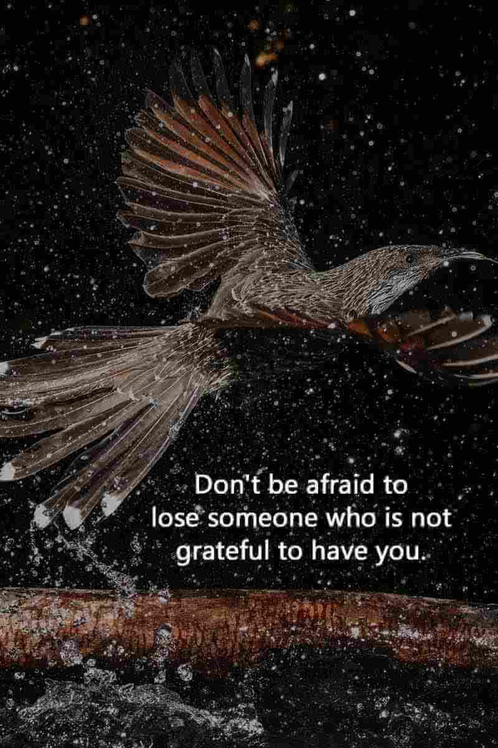 quote