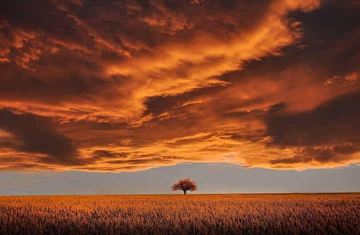Magisch