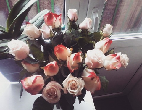 rose