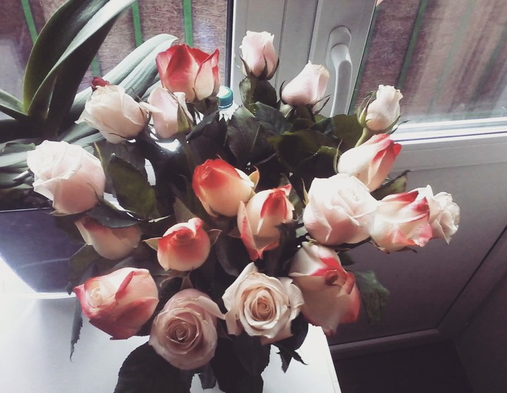 rose 