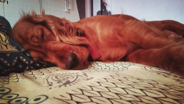 lazy