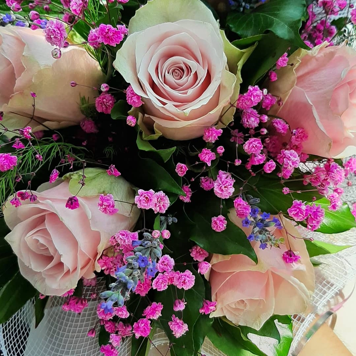 Roses