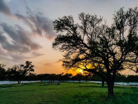 evening