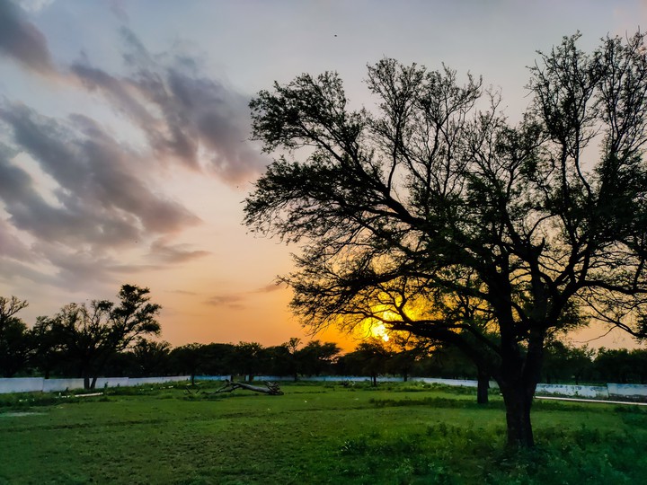 evening