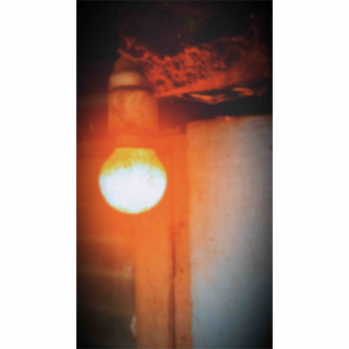 Bulb