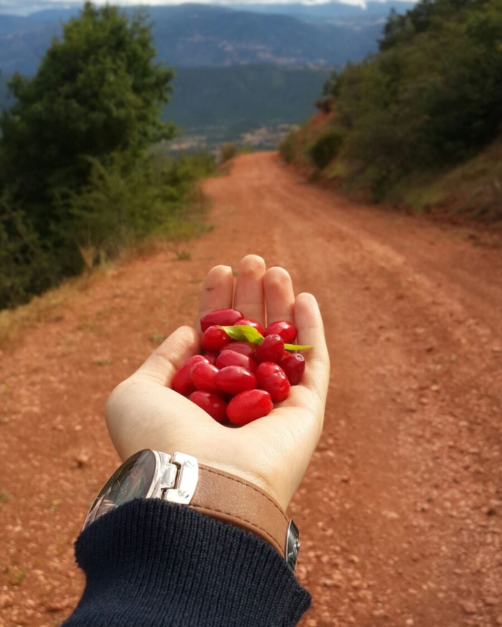 BüşraNur
