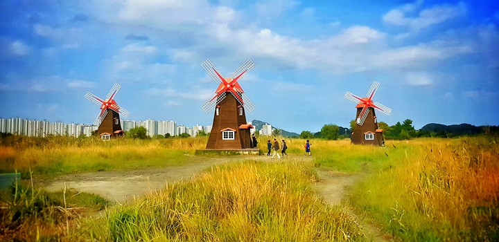 Windmill  풍차