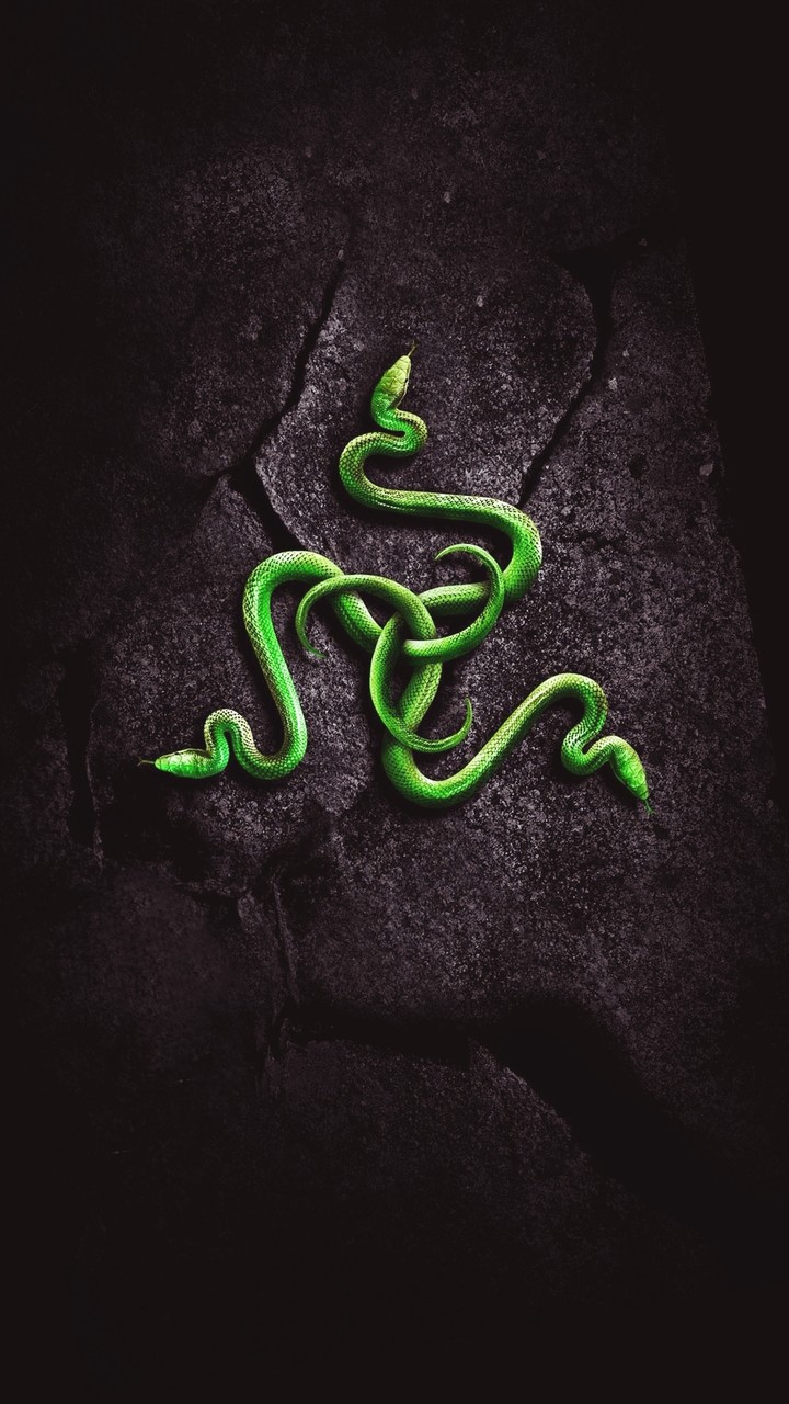 Razer