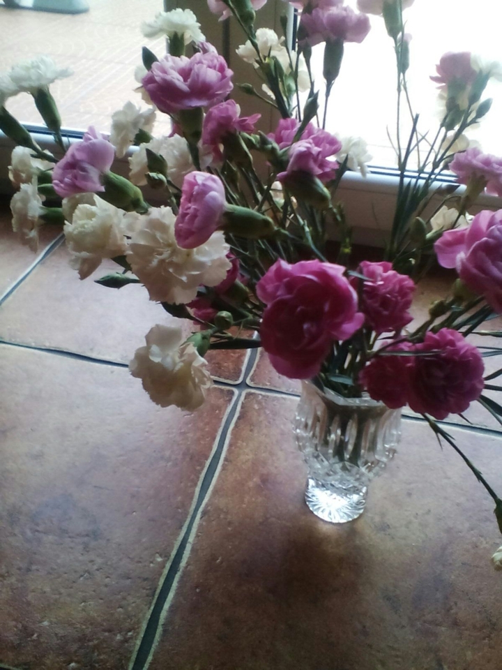 pink and white