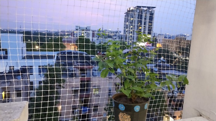 balcony view