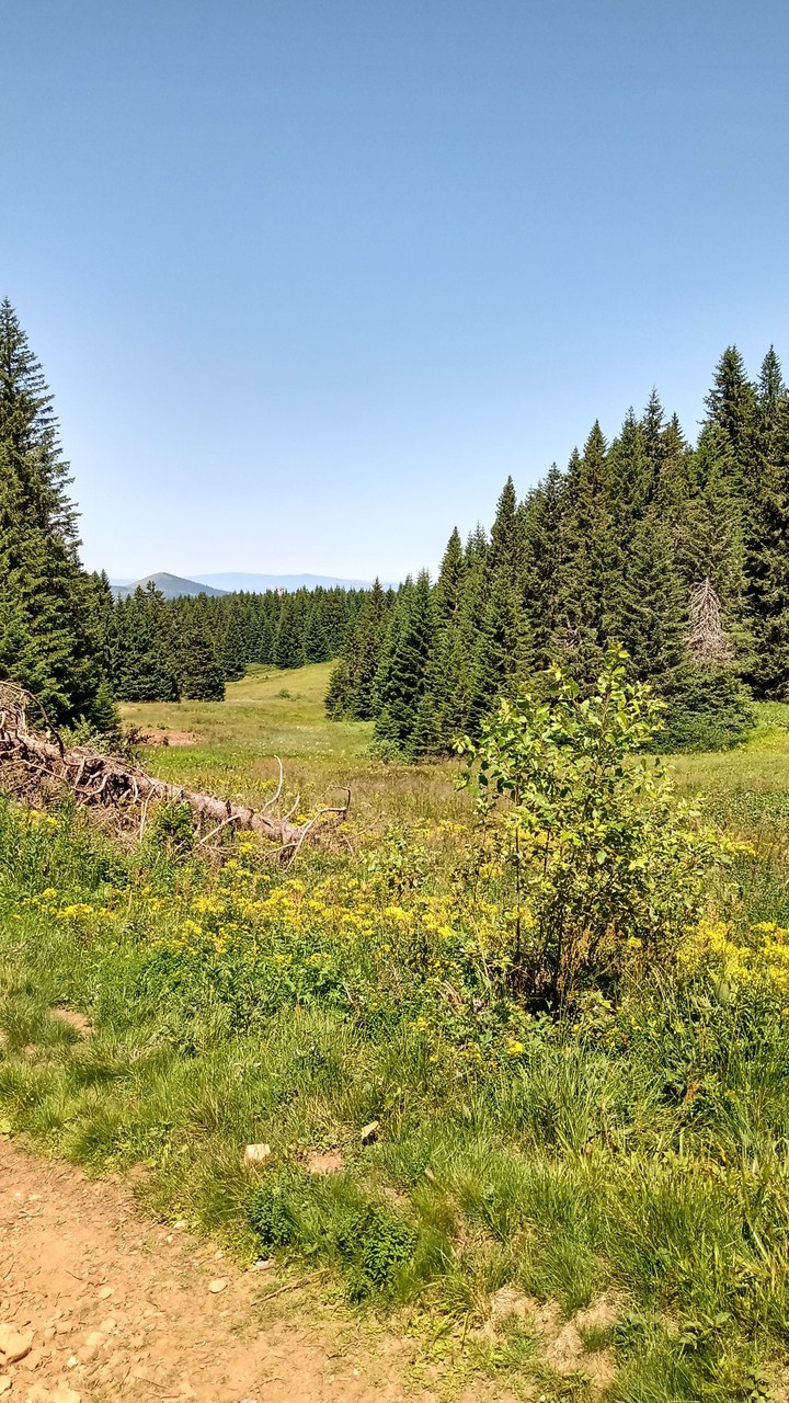 mountain view