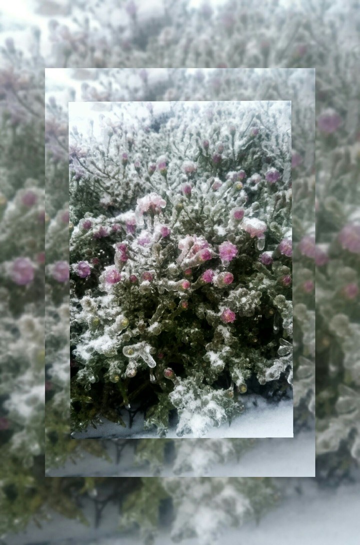 зима