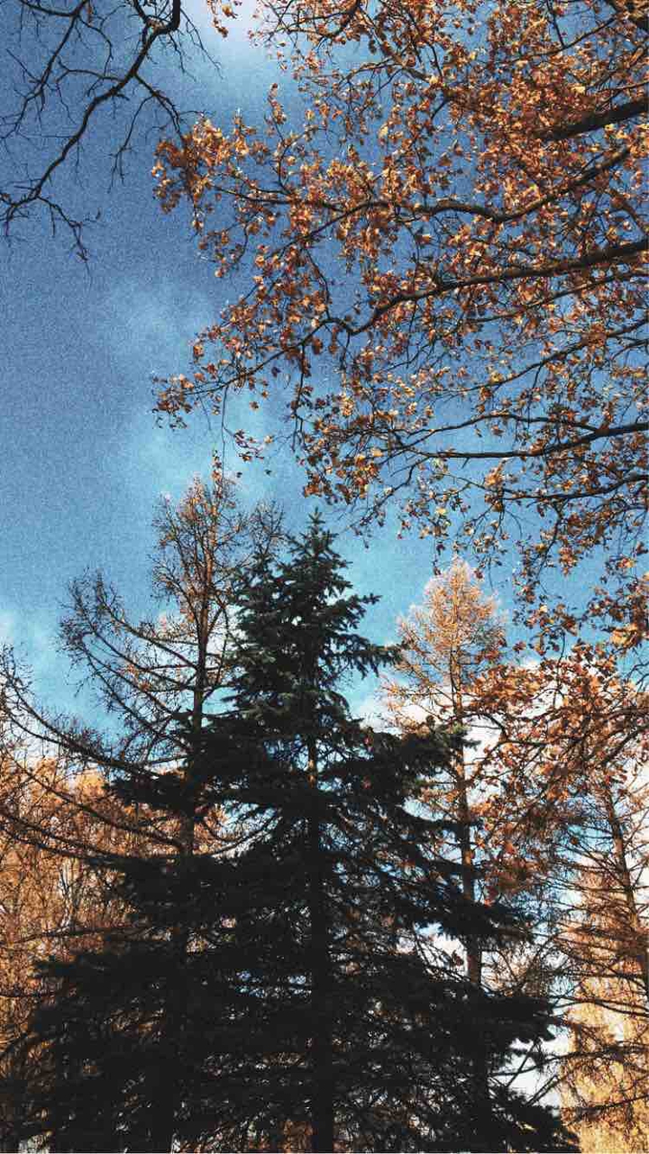 Autumn ?