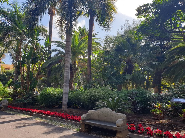 Tenerife