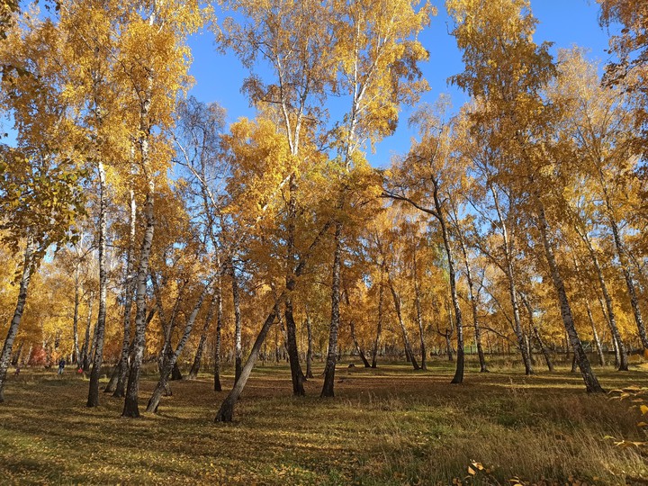золотая осень