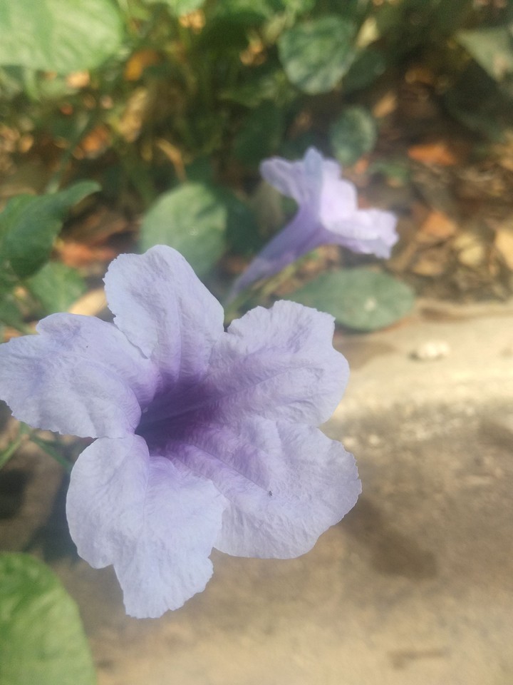 ?