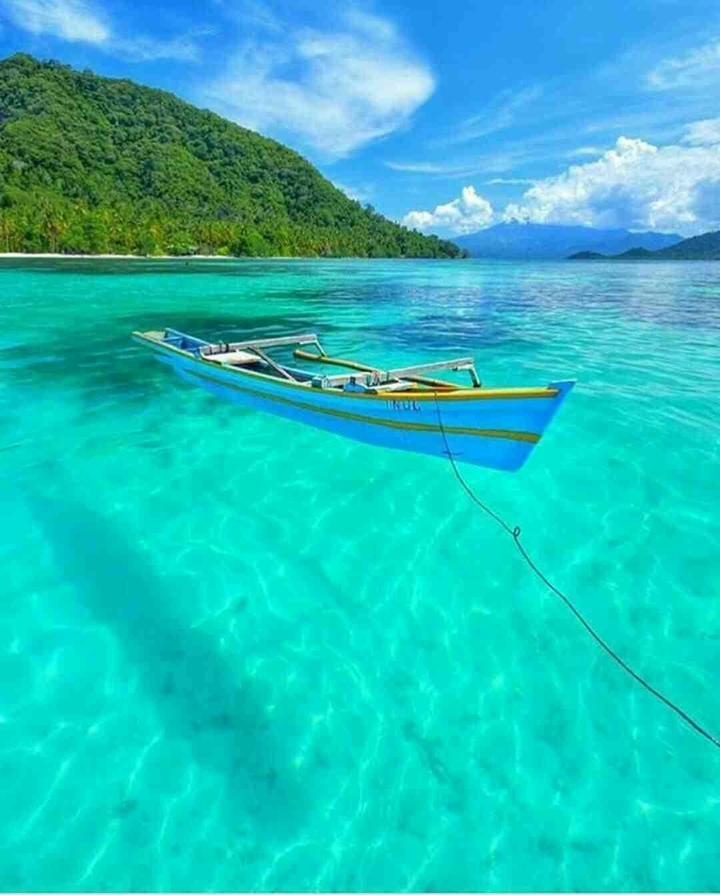 dream pool