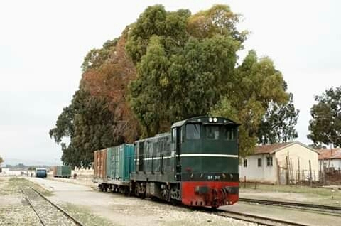 old tarin tunisia