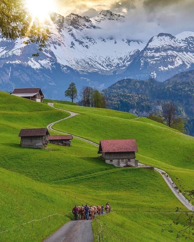 nature