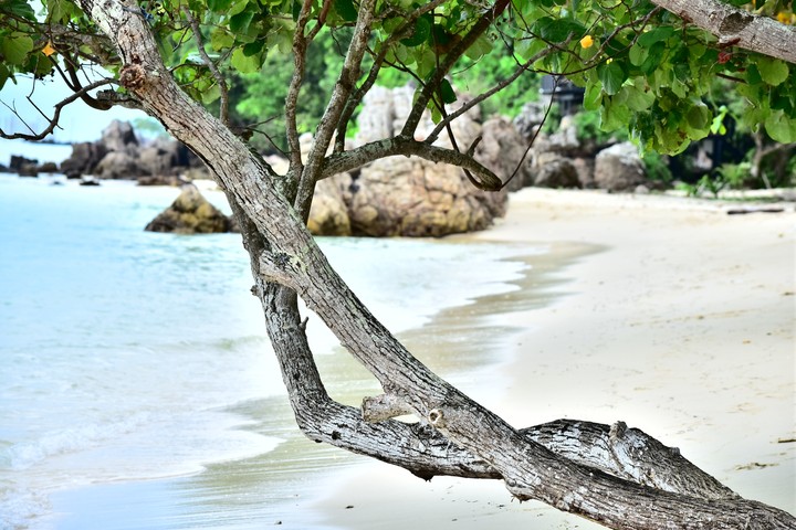 Paradise